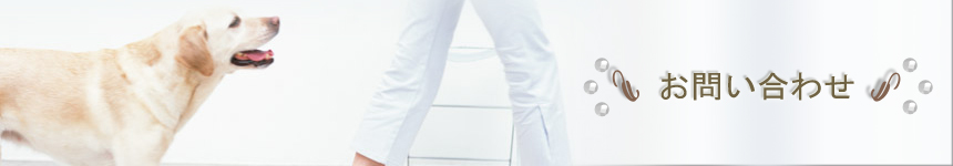 お問い合わせ