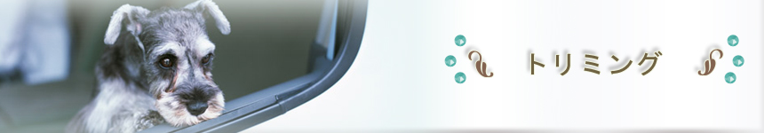 トリミング
